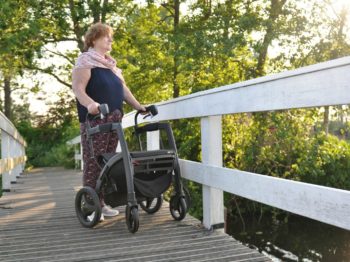 a woman with a stroller on a bridge